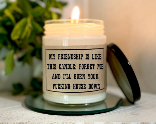 My Friendship Is Like This Candle - Soy Candle